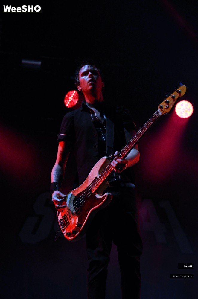 11/13 photos du spectacle Sum 41