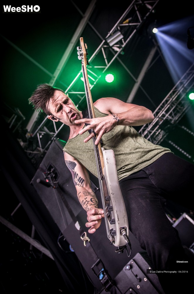 11/13 photos du spectacle Shinedown