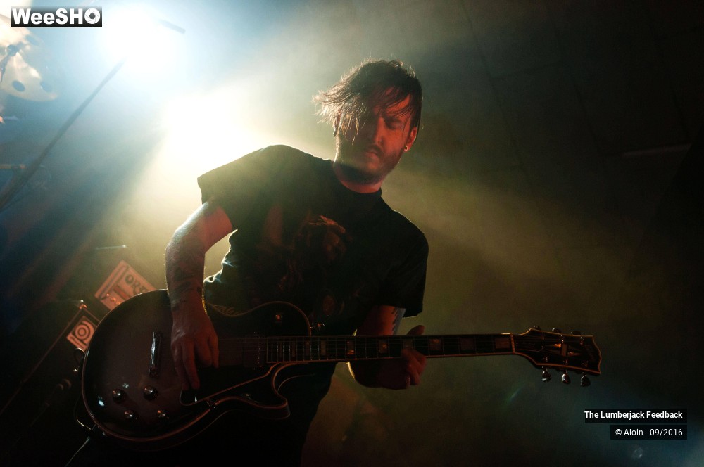 9/11 photos du spectacle The Lumberjack Feedback