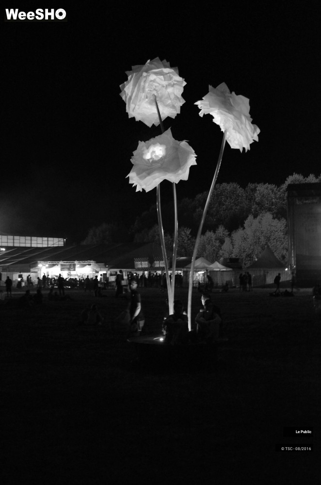 23/28 photos du spectacle Ambiance Cabaret vert 2016 Jour 1