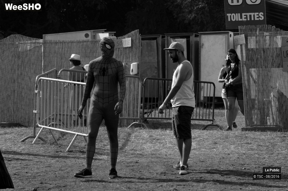 11/35 photos du spectacle Ambiance Cabaret vert 2016 Jour 3
