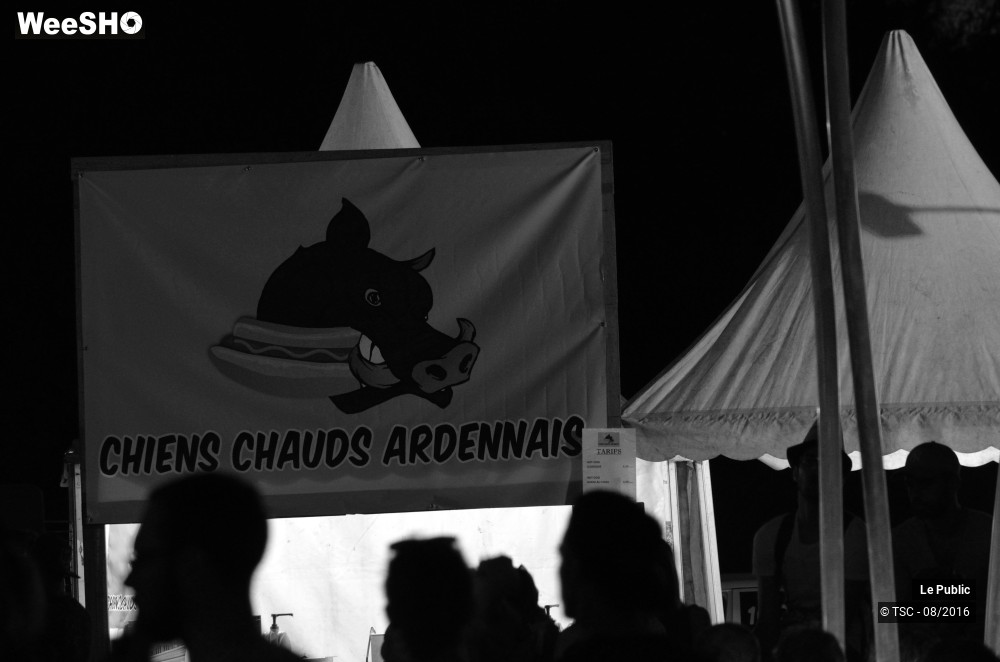 10/23 photos du spectacle Ambiance Cabaret vert 2016 Jour 4
