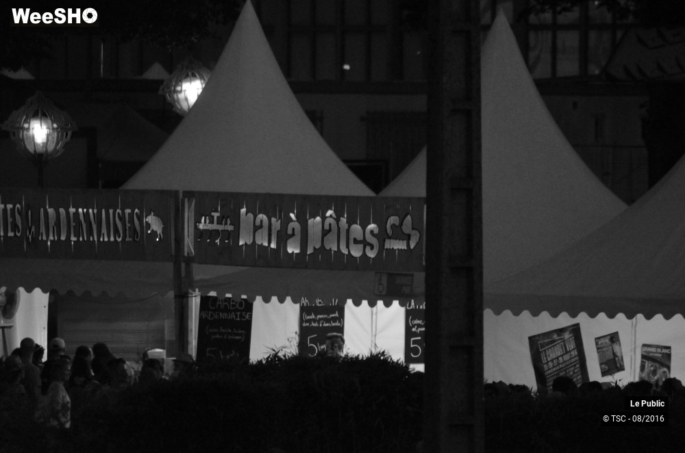 17/23 photos du spectacle Ambiance Cabaret vert 2016 Jour 4