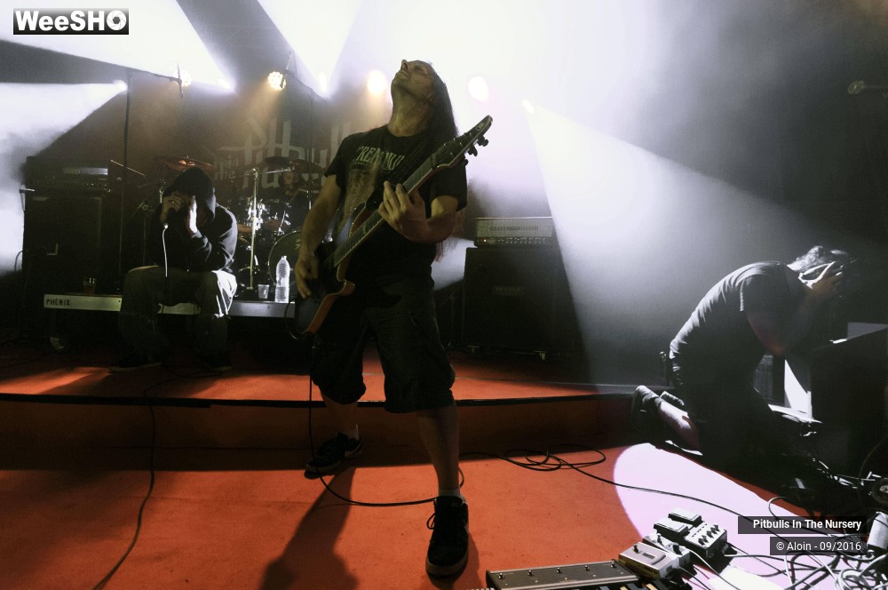 1/19 photos du spectacle Pitbulls in the nursery