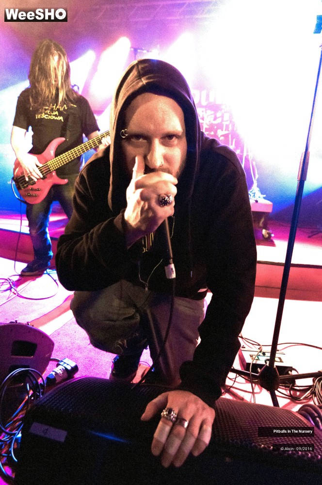 2/19 photos du spectacle Pitbulls in the nursery