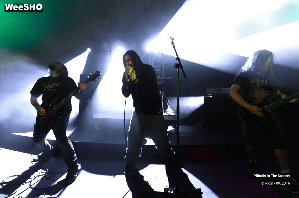 4/19 photos du spectacle Pitbulls in the nursery