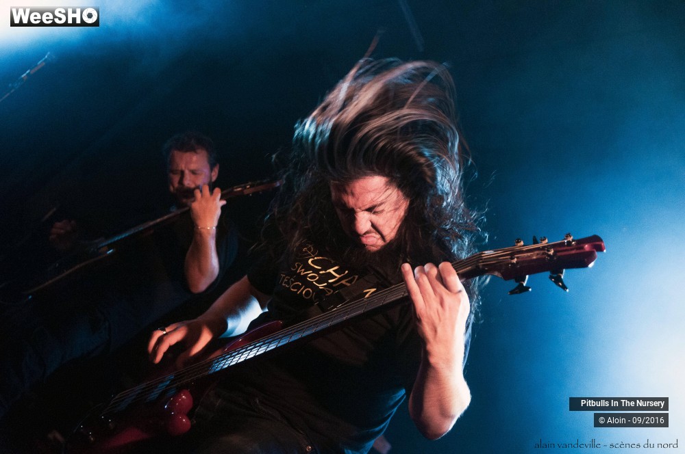 7/19 photos du spectacle Pitbulls in the nursery