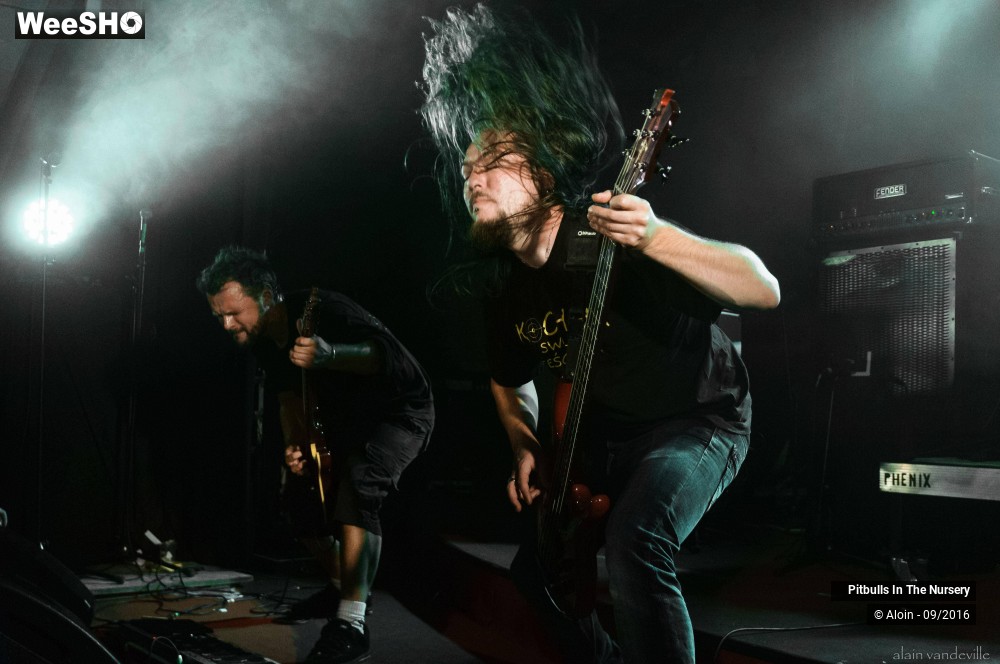 12/19 photos du spectacle Pitbulls in the nursery