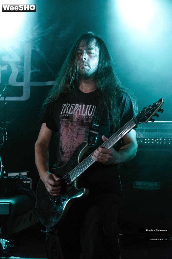 14/19 photos du spectacle Pitbulls in the nursery