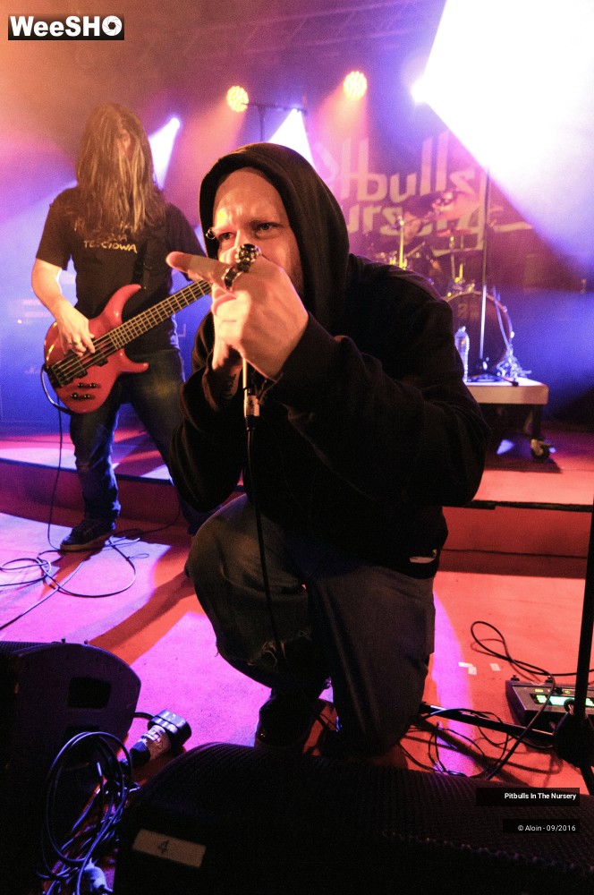 15/19 photos du spectacle Pitbulls in the nursery