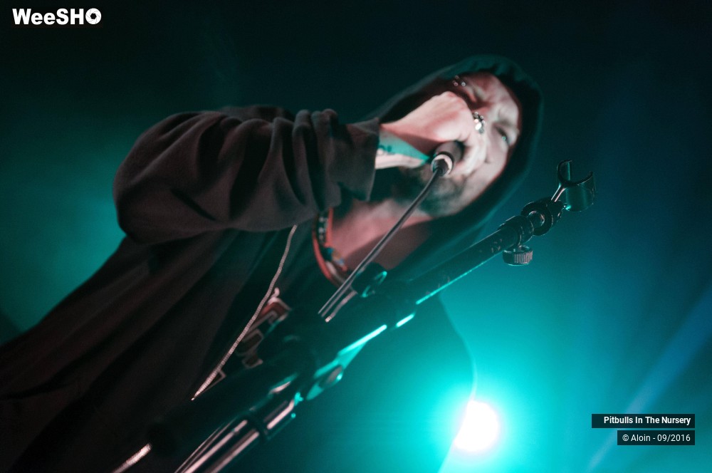 16/19 photos du spectacle Pitbulls in the nursery