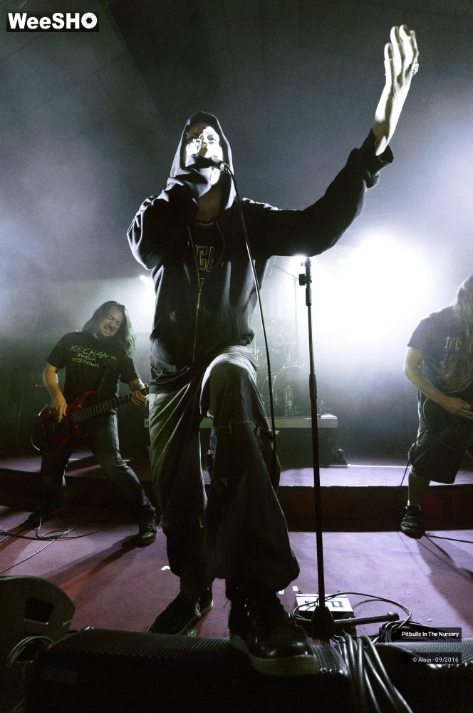 17/19 photos du spectacle Pitbulls in the nursery