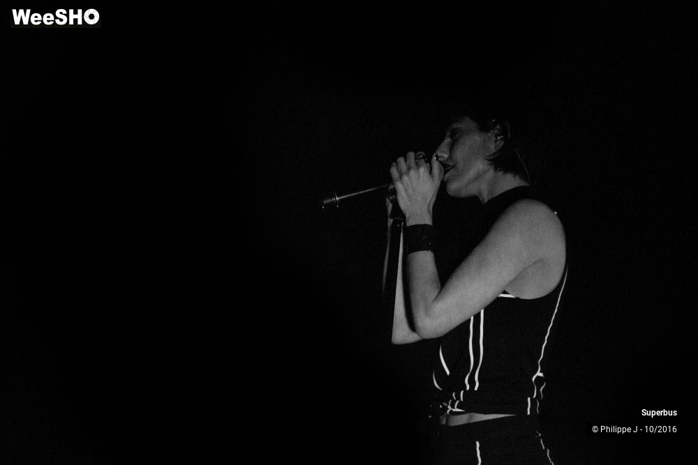 4/20 photos du spectacle Superbus