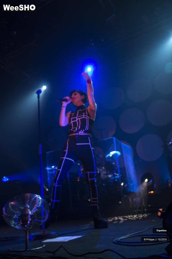 13/20 photos du spectacle Superbus