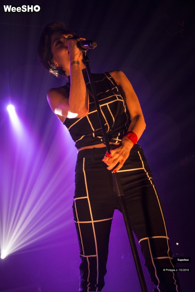 14/20 photos du spectacle Superbus
