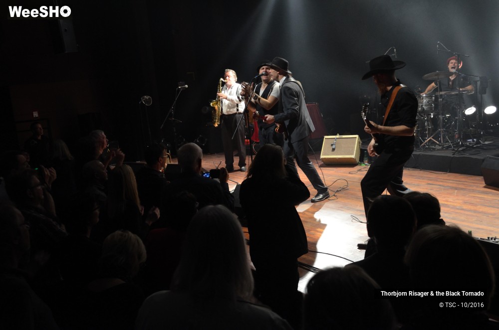 6/37 photos du spectacle Thorbjorn Risager & the Black Tornado