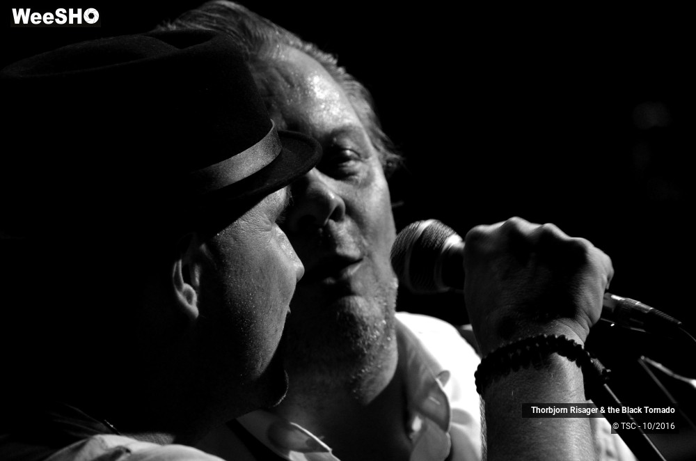 10/37 photos du spectacle Thorbjorn Risager & the Black Tornado