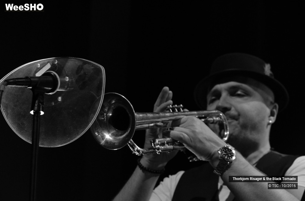 15/37 photos du spectacle Thorbjorn Risager & the Black Tornado