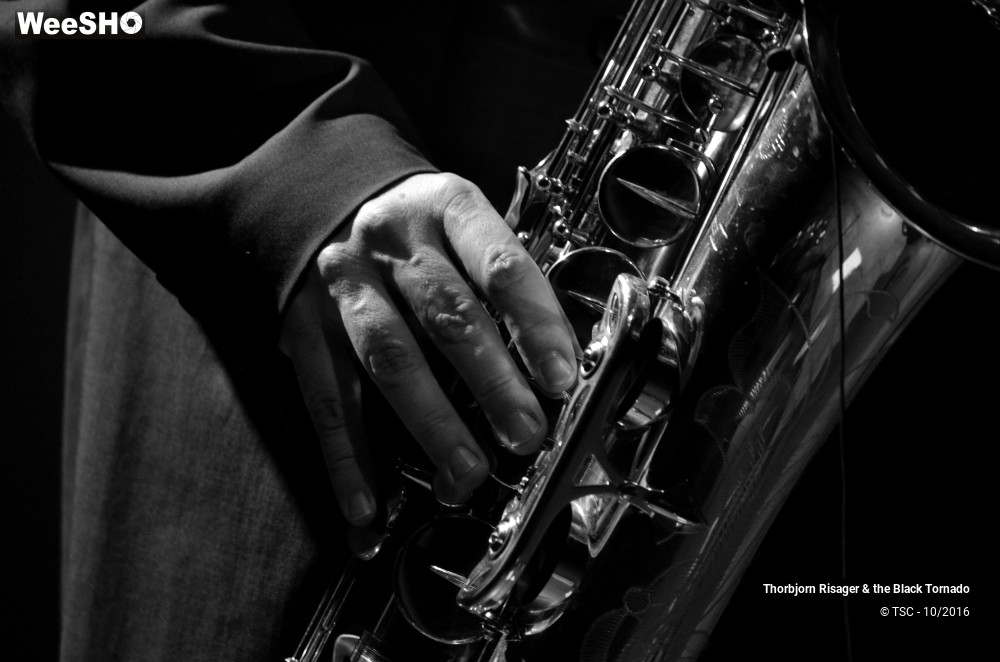 17/37 photos du spectacle Thorbjorn Risager & the Black Tornado