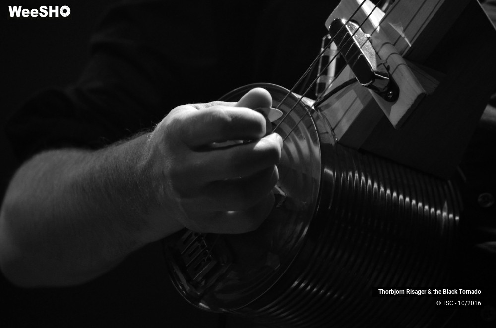 22/37 photos du spectacle Thorbjorn Risager & the Black Tornado