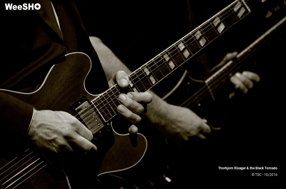 27/37 photos du spectacle Thorbjorn Risager & the Black Tornado