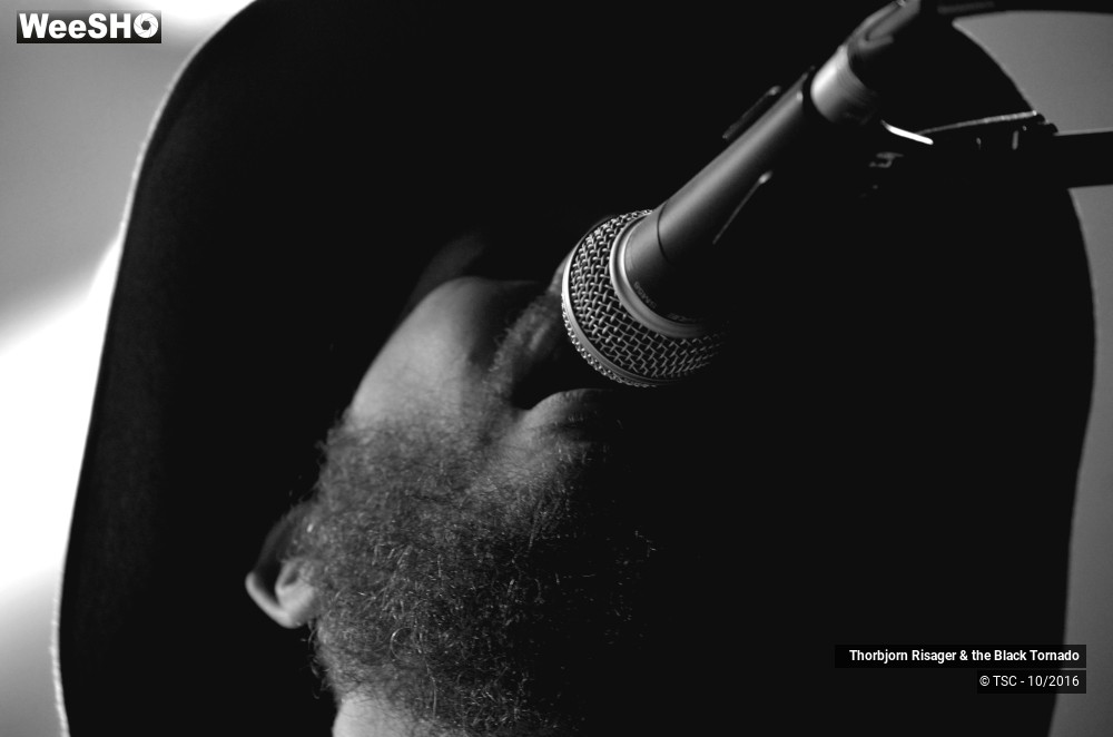 33/37 photos du spectacle Thorbjorn Risager & the Black Tornado