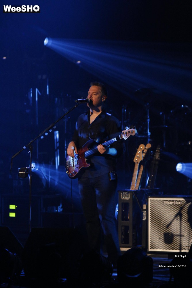 11/28 photos du spectacle Brit Floyd