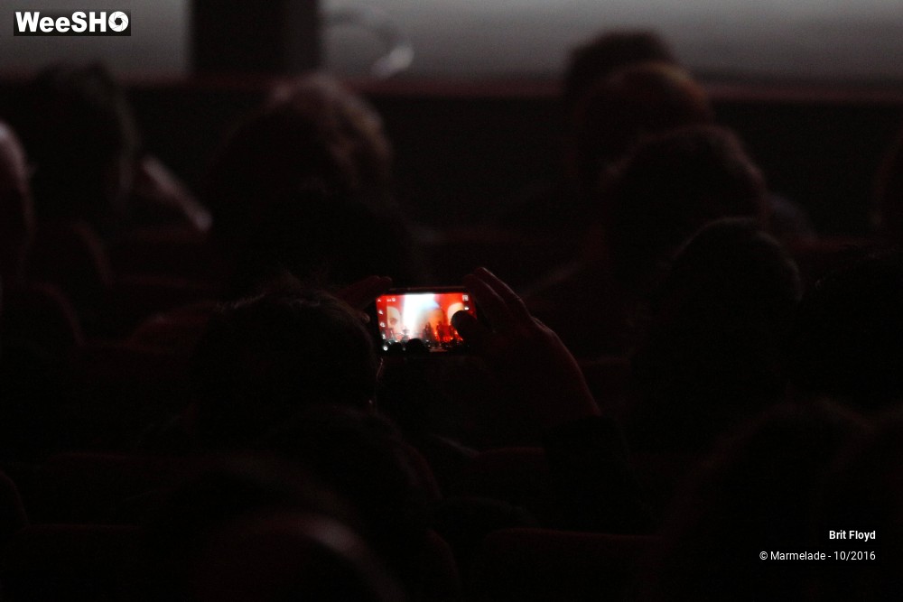 20/28 photos du spectacle Brit Floyd