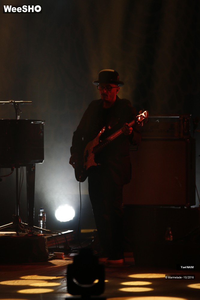 14/40 photos du spectacle Yael Naim