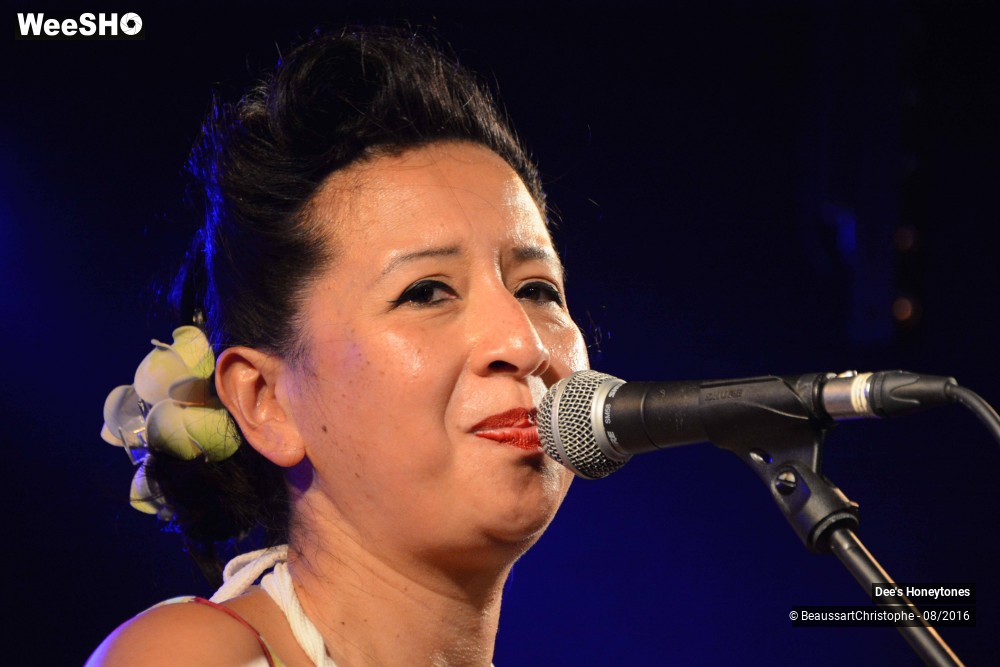 33/42 photos du spectacle Dee's Honeytones