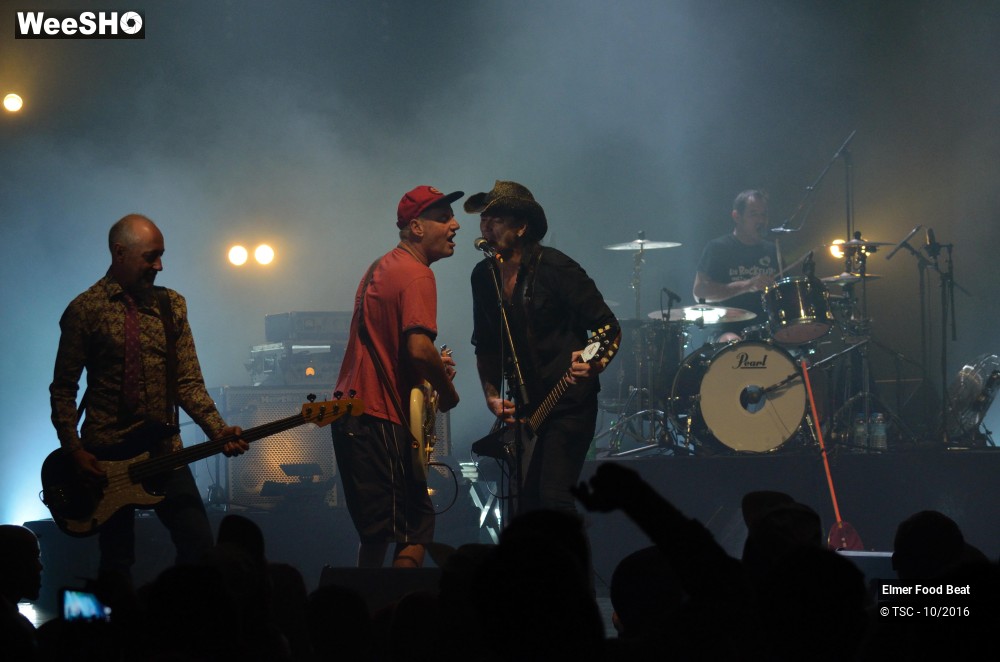 7/42 photos du spectacle Elmer Food Beat