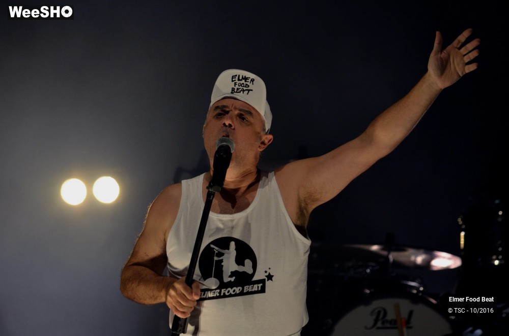 27/42 photos du spectacle Elmer Food Beat