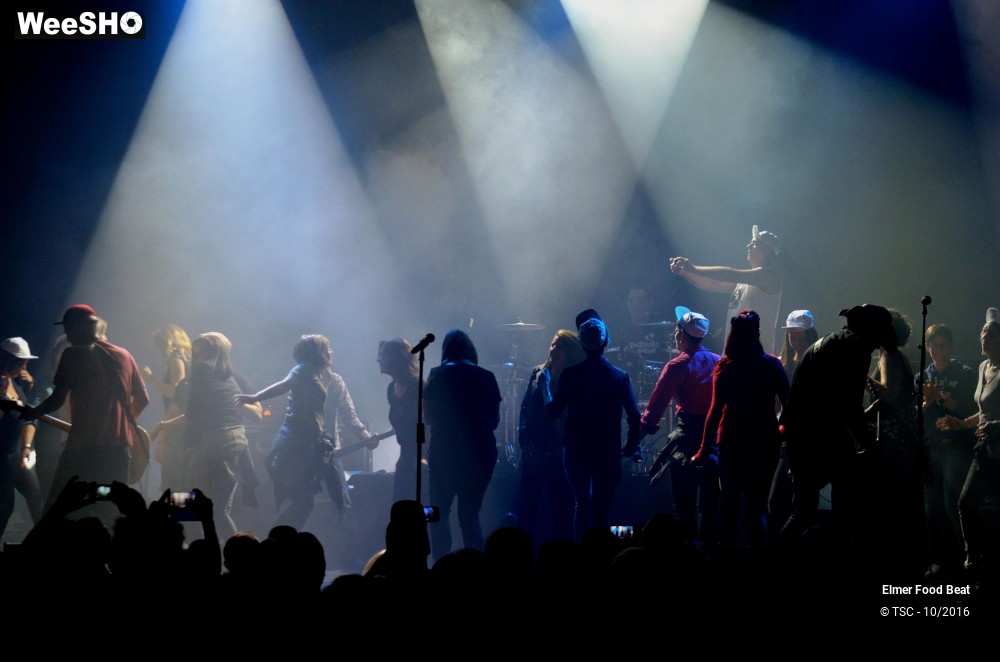 29/42 photos du spectacle Elmer Food Beat