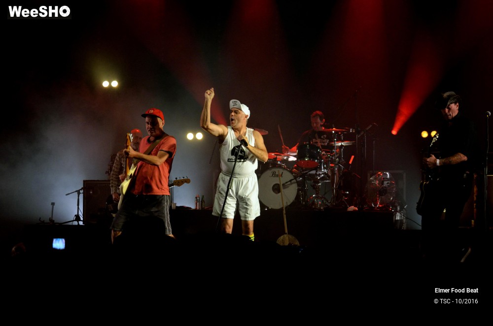 30/42 photos du spectacle Elmer Food Beat