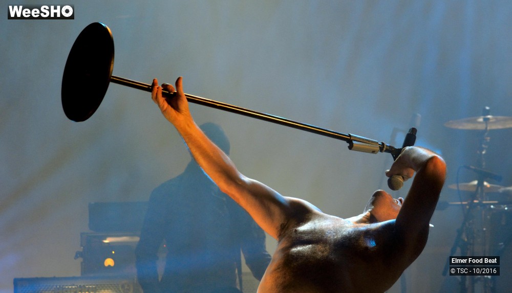31/42 photos du spectacle Elmer Food Beat