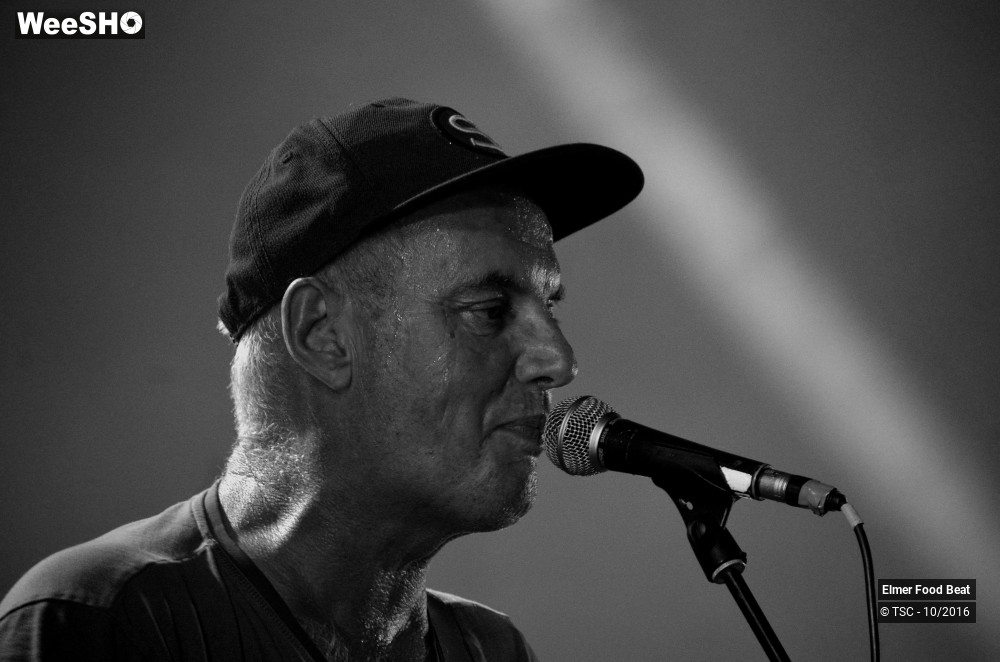 33/42 photos du spectacle Elmer Food Beat
