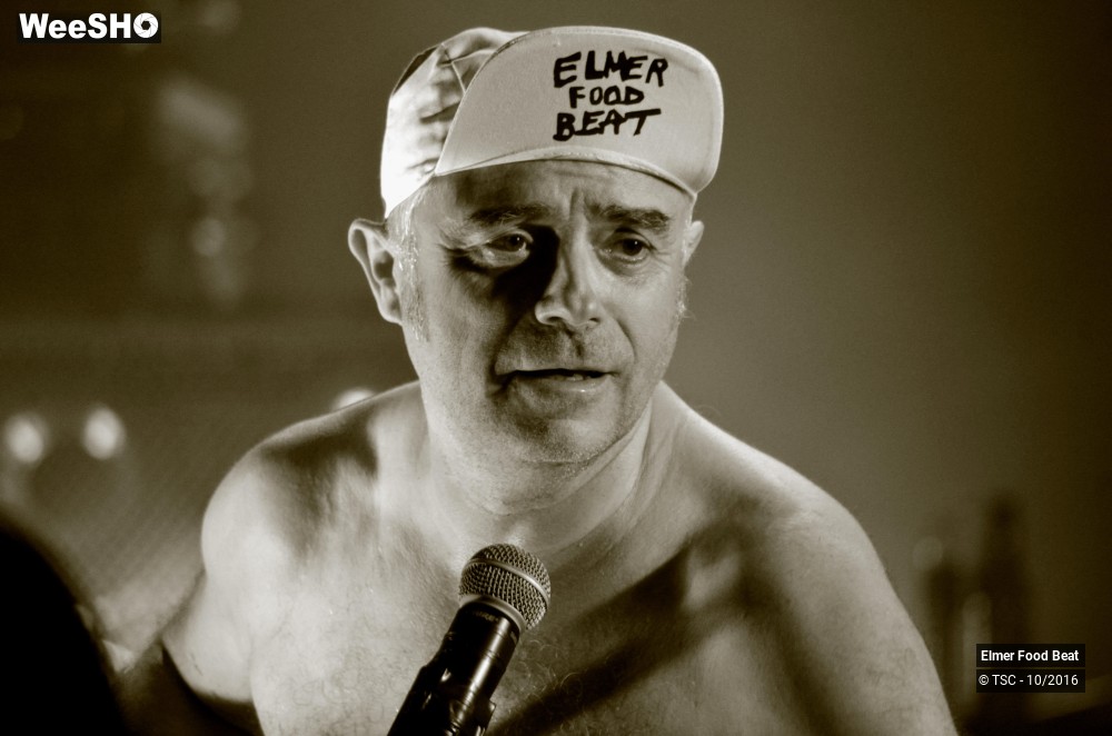 37/42 photos du spectacle Elmer Food Beat