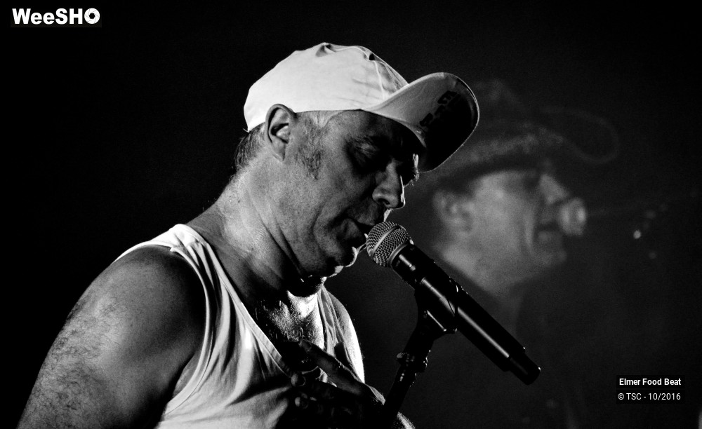 39/42 photos du spectacle Elmer Food Beat