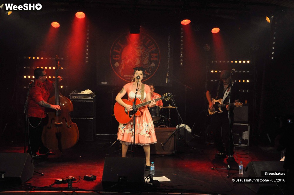 15/31 photos du spectacle Silvershakers