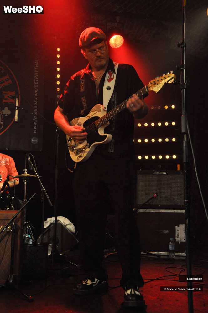 18/31 photos du spectacle Silvershakers