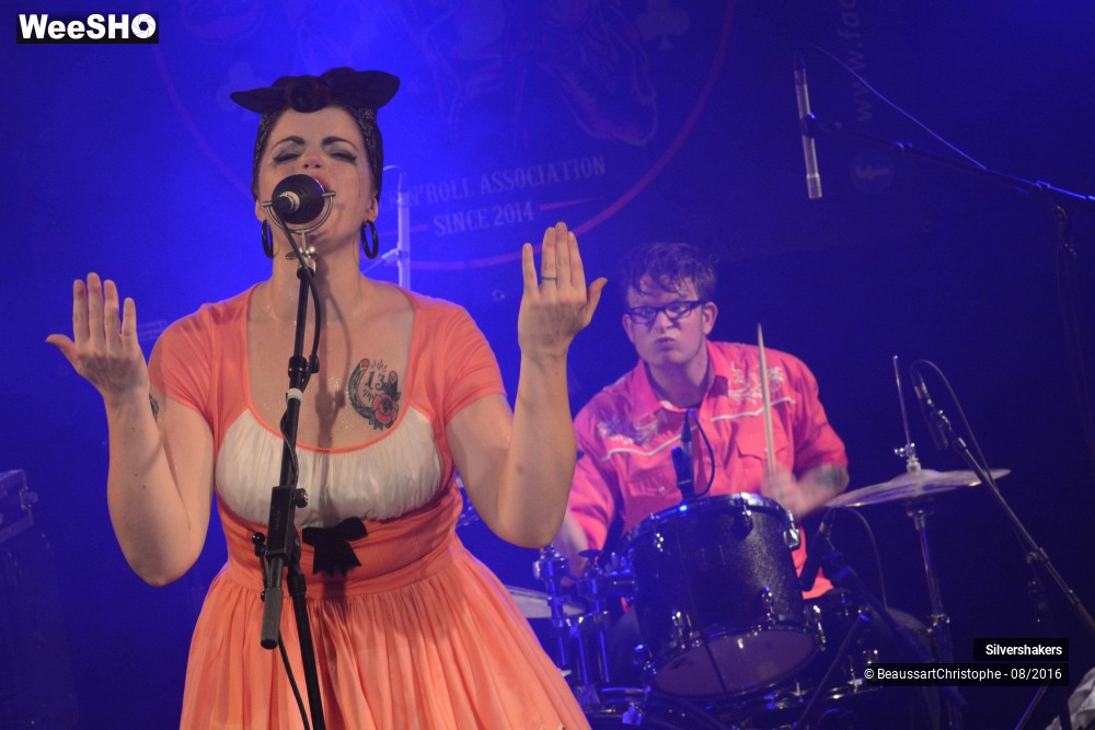 24/31 photos du spectacle Silvershakers