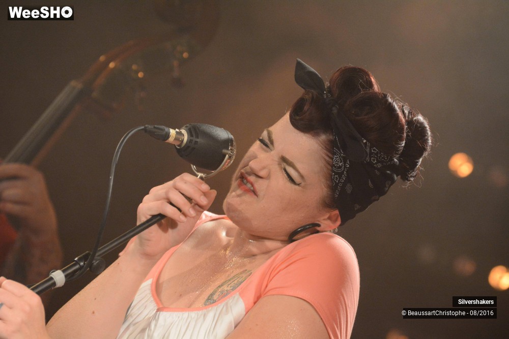 28/31 photos du spectacle Silvershakers