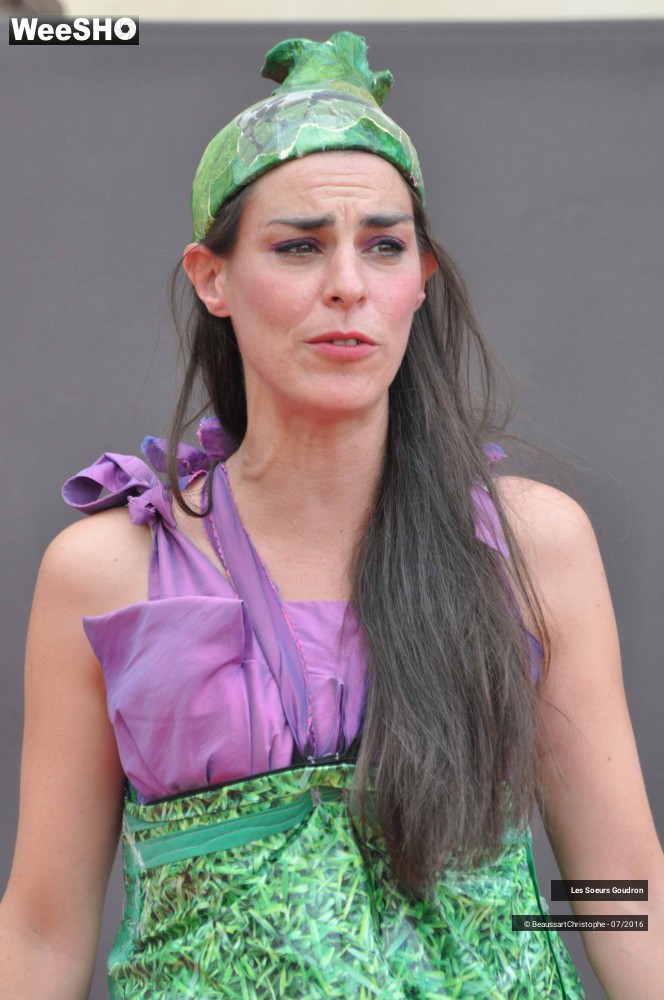 7/51 photos du spectacle Dames de France