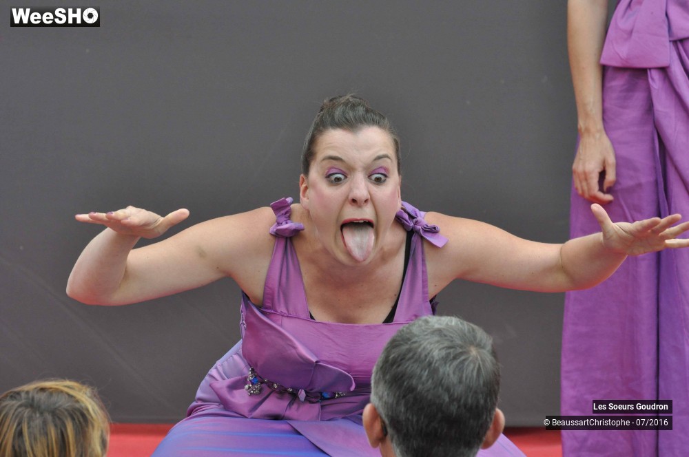 12/51 photos du spectacle Dames de France