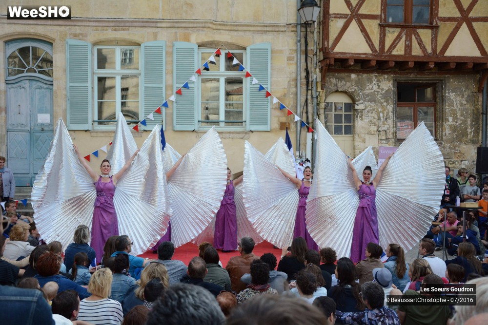 15/51 photos du spectacle Dames de France