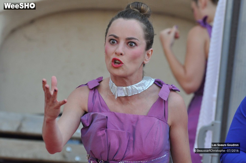 22/51 photos du spectacle Dames de France