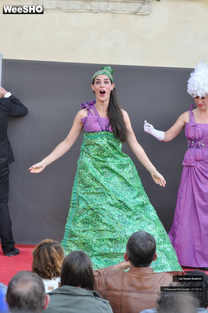 40/51 photos du spectacle Dames de France