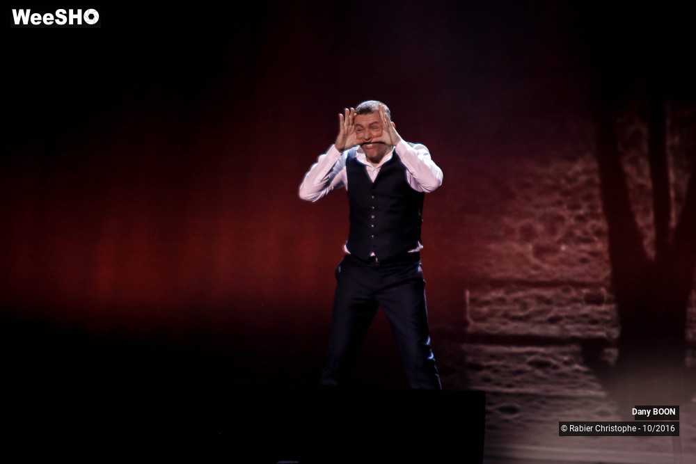 1/31 photos du spectacle Dany Boon