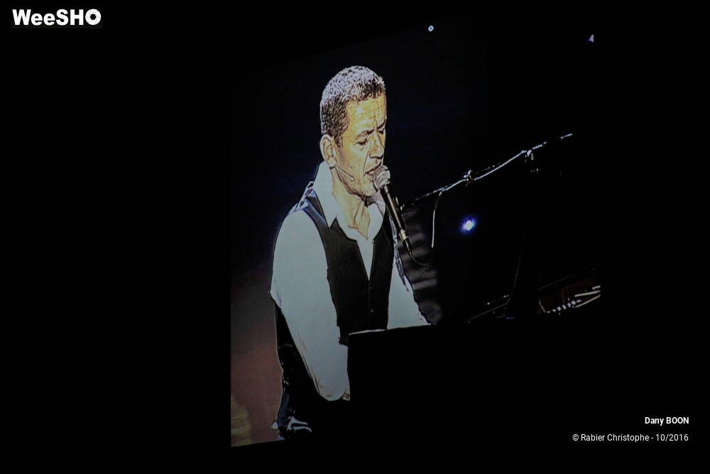 27/31 photos du spectacle Dany Boon