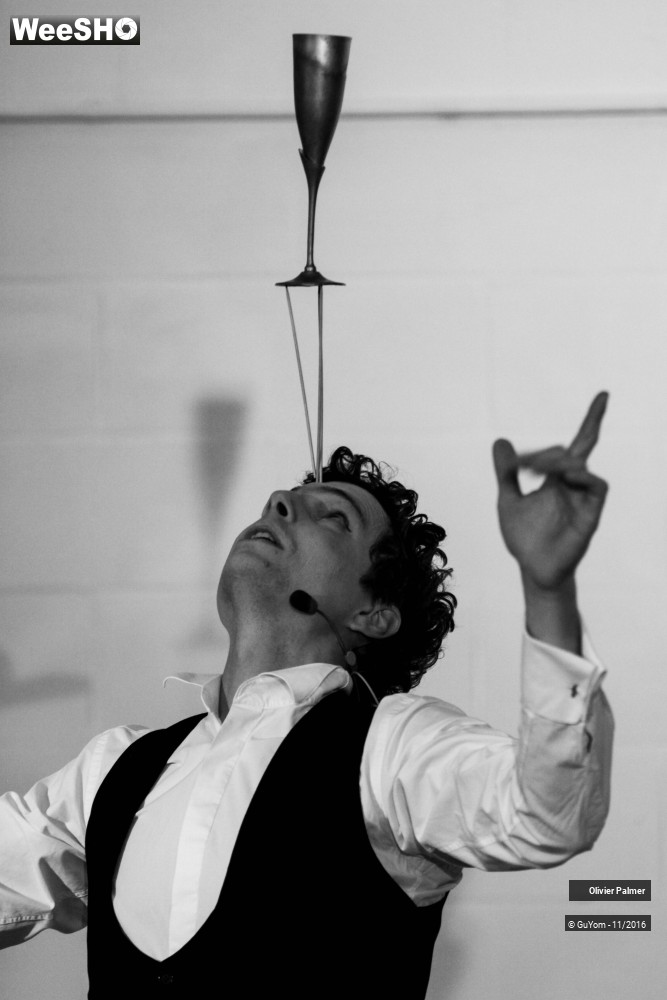 19/33 photos du spectacle Formidable